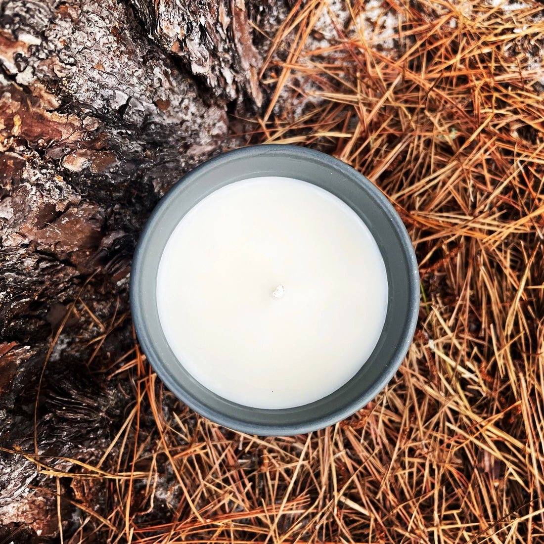National Parks Soy Wax Candle | Oakmoss | Musk | Cypress