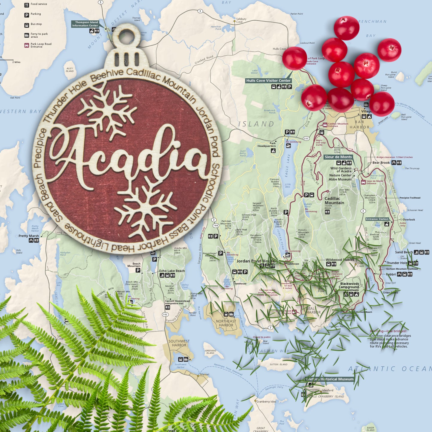Acadia National Park Ornament