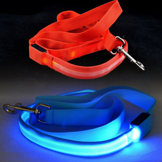 Reflective LED Dog Leash