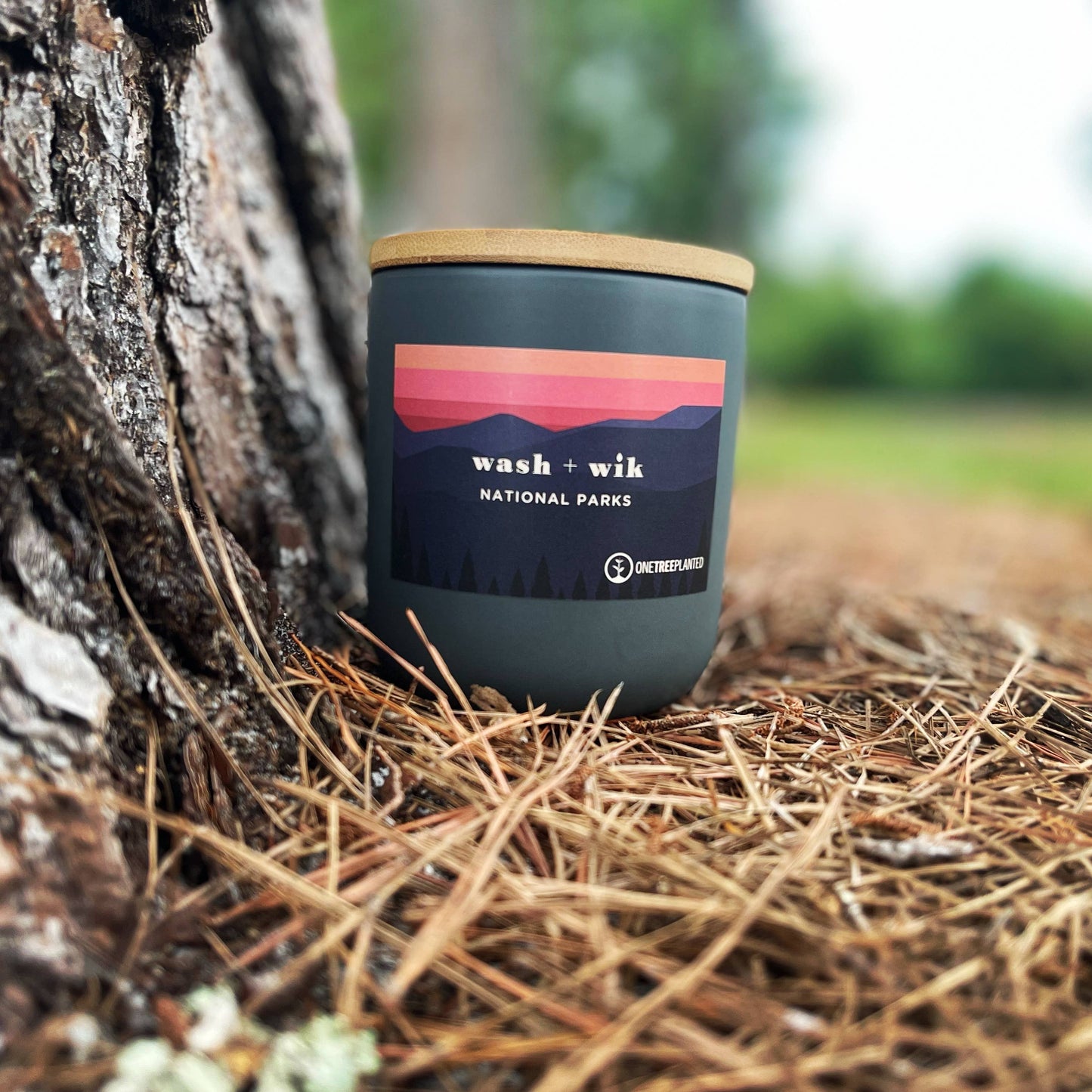 National Parks Soy Wax Candle | Oakmoss | Musk | Cypress